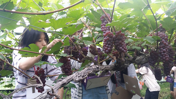 20160716_122923.jpg