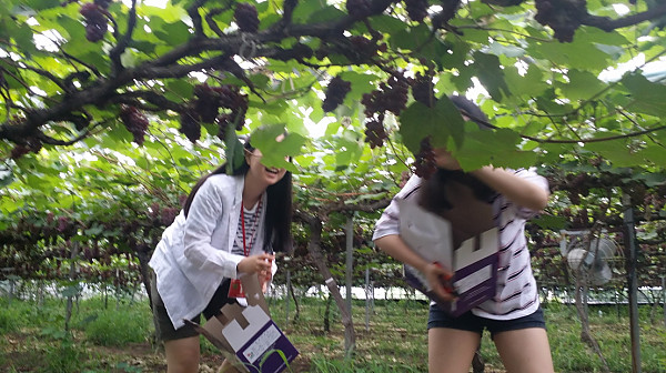 20160716_123146.jpg
